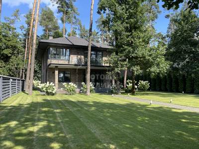 Будинок 250 м² у Плюти
